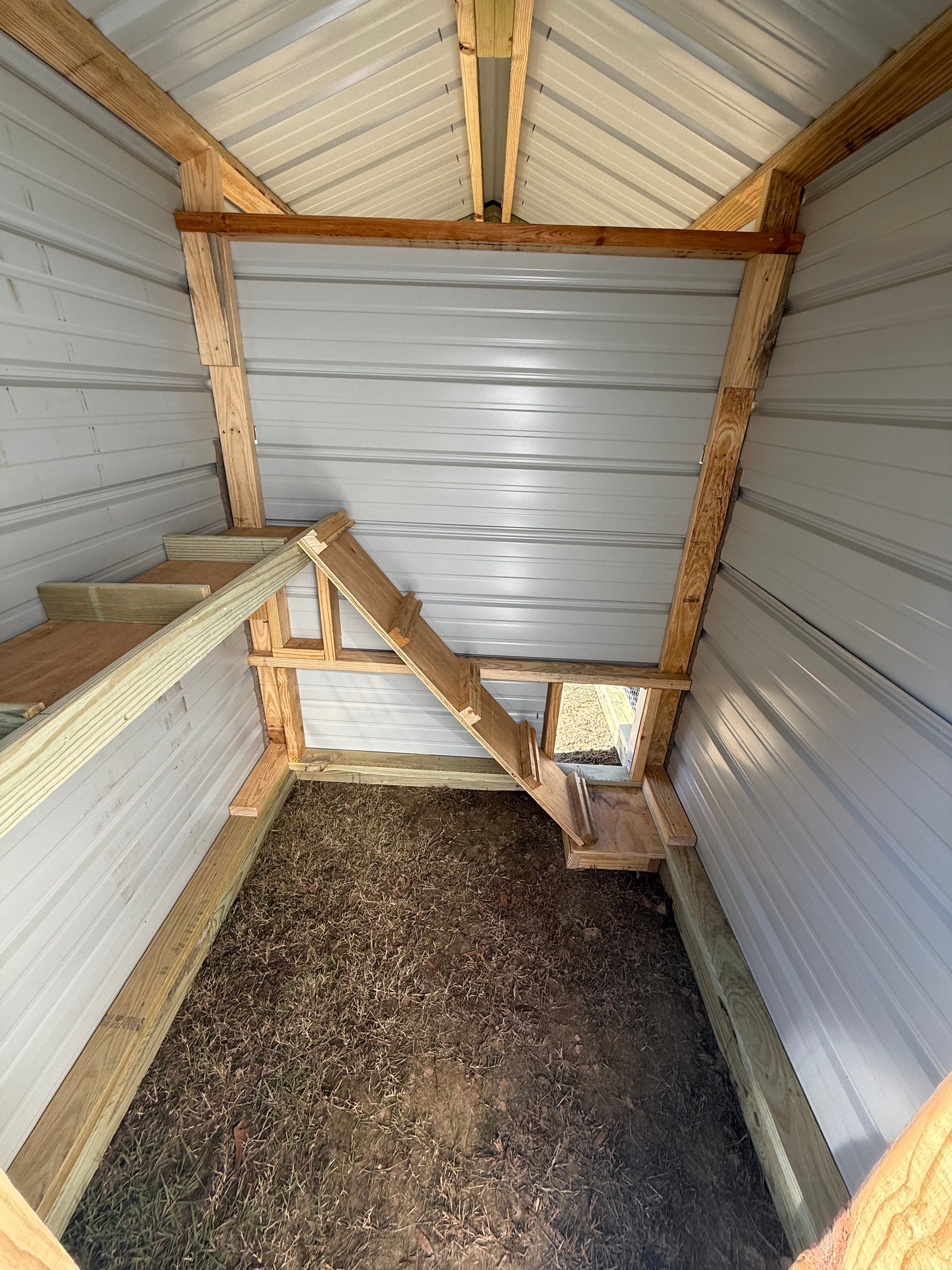 Inside chicken coop/roosting boxes